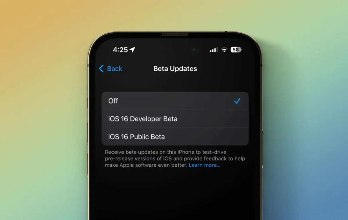 How to Turn on iOS Beta Updates in Settings